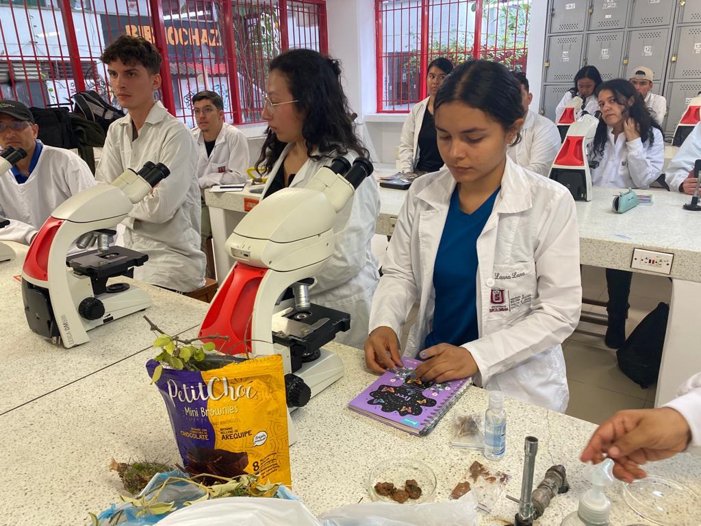 4267f302-dc02-4313-a669-c1ec31f8a6bd